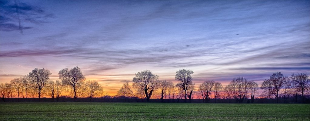  En bord de Loire - Orléans