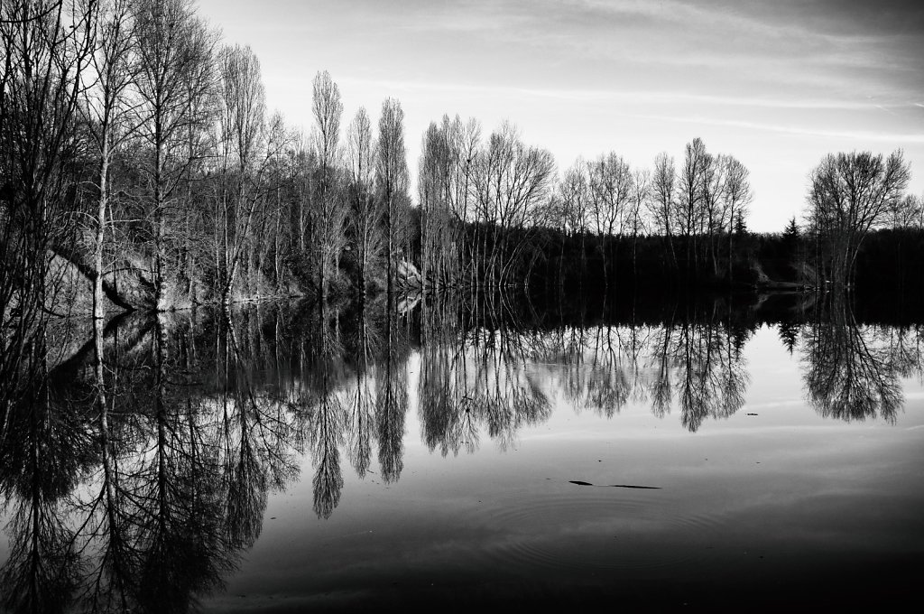  En bord de Loire - Orléans